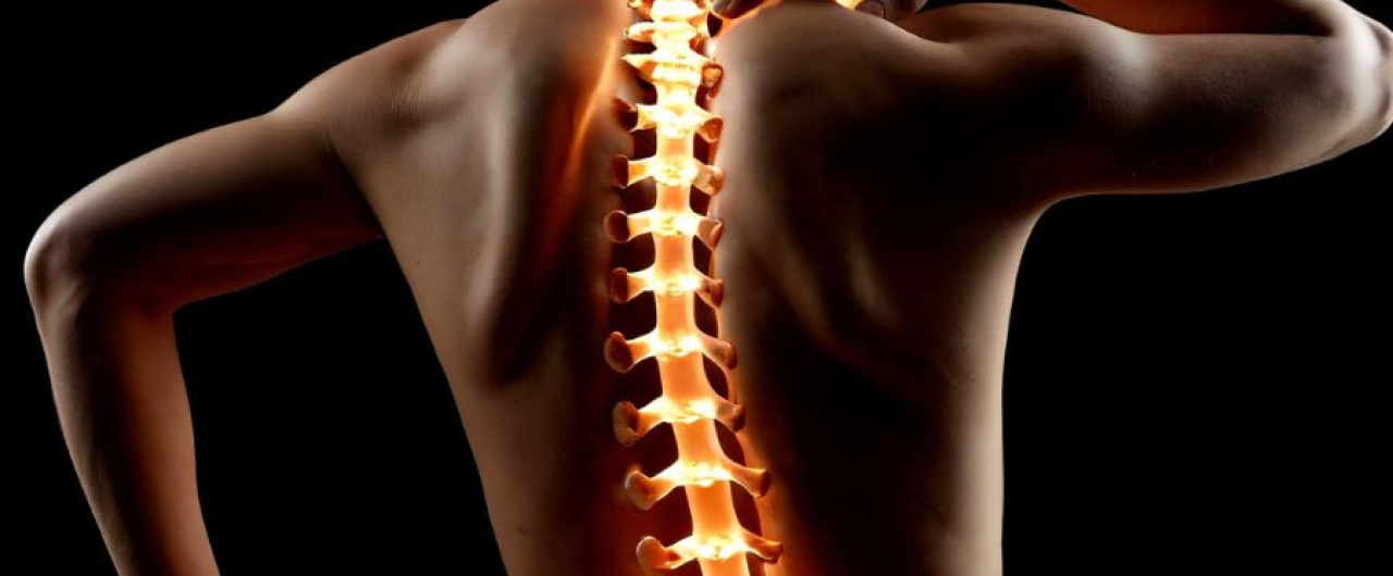 The Spiritual Wisdom of the Spine – Jean-Yves Leloup